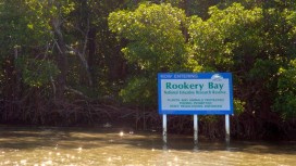 Rookery Bay