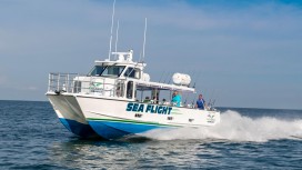  Deep Sea Fishing Charter