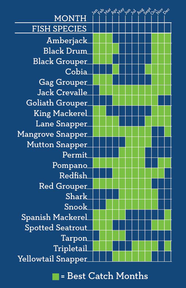 Florida Fishing Seasons Chart